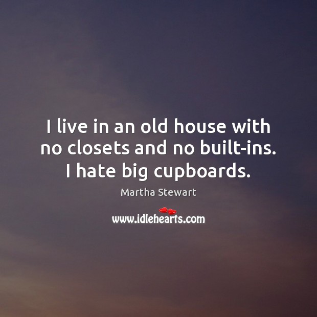 I live in an old house with no closets and no built-ins. I hate big cupboards. Image