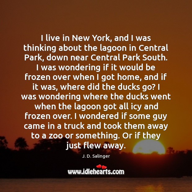 I live in New York, and I was thinking about the lagoon J. D. Salinger Picture Quote