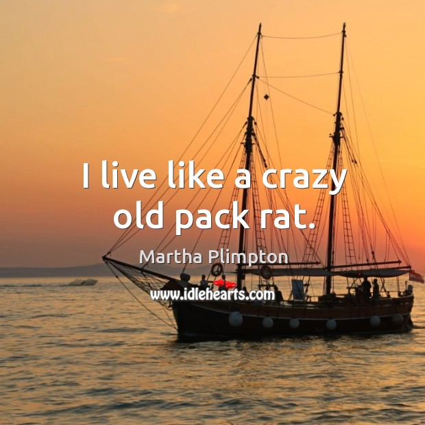 I live like a crazy old pack rat. Martha Plimpton Picture Quote