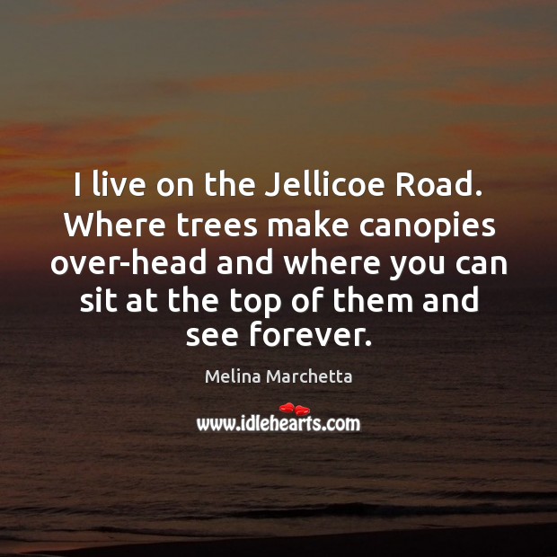I live on the Jellicoe Road. Where trees make canopies over-head and Melina Marchetta Picture Quote