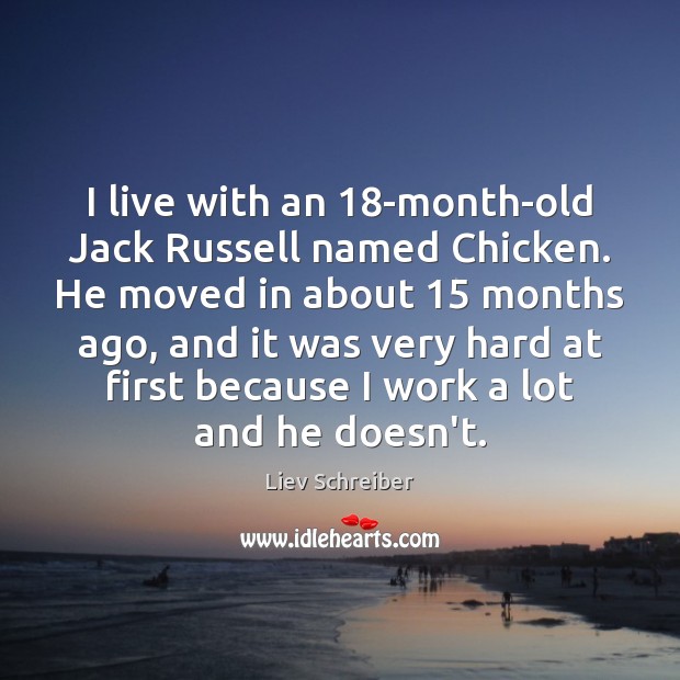 I live with an 18-month-old Jack Russell named Chicken. He moved in Image