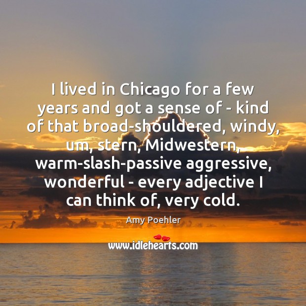 I lived in Chicago for a few years and got a sense Amy Poehler Picture Quote