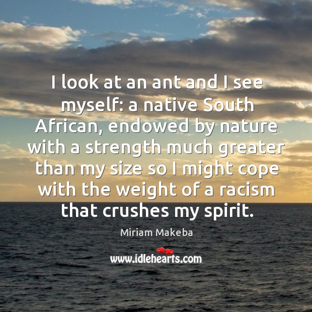 I look at an ant and I see myself: a native south african Miriam Makeba Picture Quote