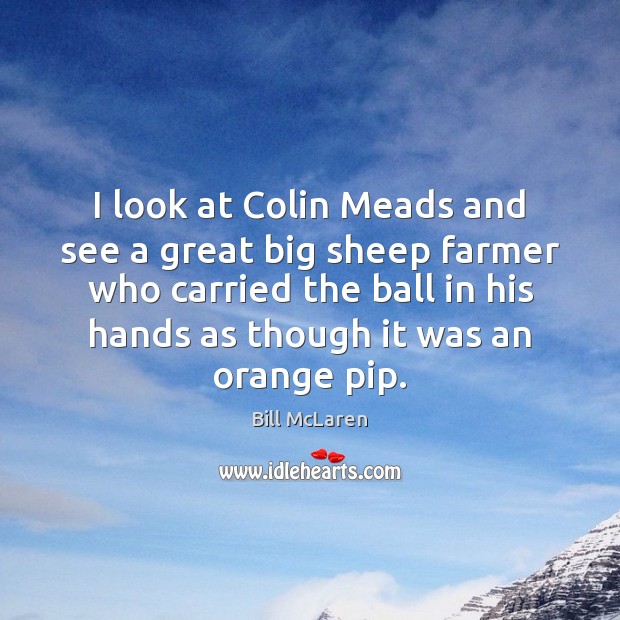 I look at Colin Meads and see a great big sheep farmer Bill McLaren Picture Quote