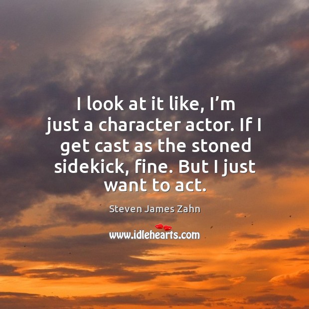 I look at it like, I’m just a character actor. If I get cast as the stoned sidekick, fine. But I just want to act. Steven James Zahn Picture Quote