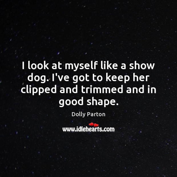 I look at myself like a show dog. I’ve got to keep Dolly Parton Picture Quote