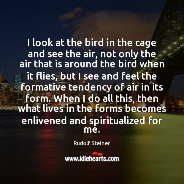 I look at the bird in the cage and see the air, Rudolf Steiner Picture Quote