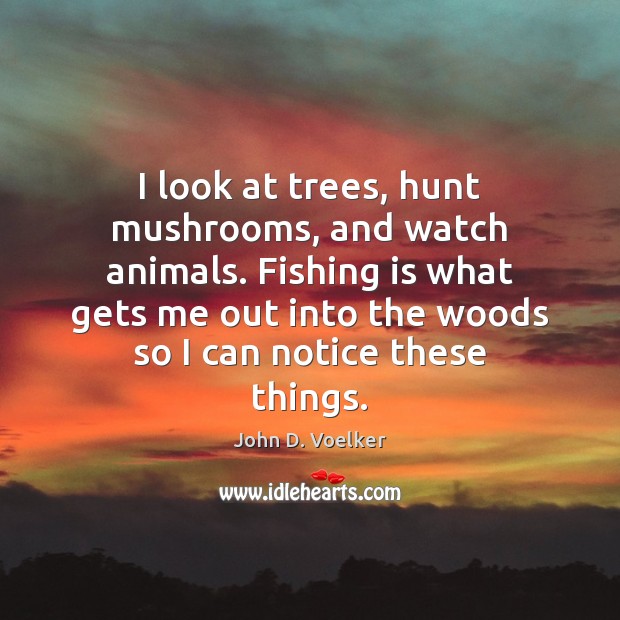 I look at trees, hunt mushrooms, and watch animals. Fishing is what John D. Voelker Picture Quote