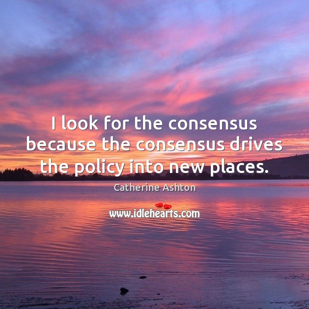 I look for the consensus because the consensus drives the policy into new places. Catherine Ashton Picture Quote