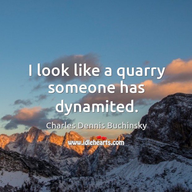 I look like a quarry someone has dynamited. Charles Dennis Buchinsky Picture Quote