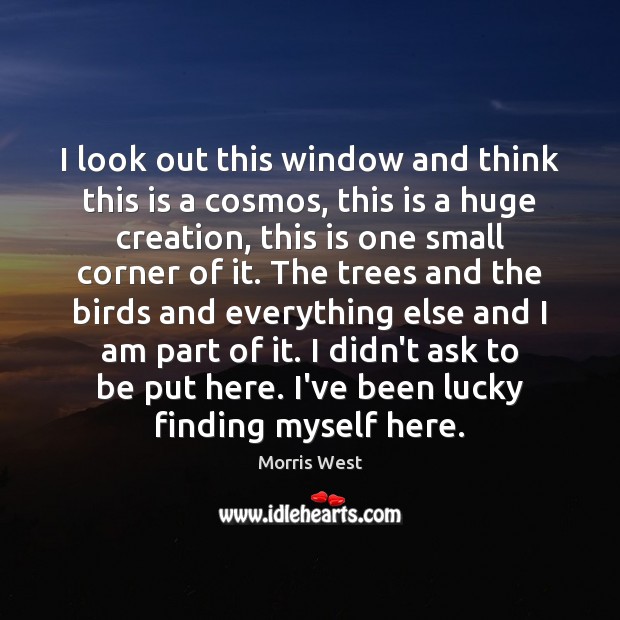 I look out this window and think this is a cosmos, this Morris West Picture Quote