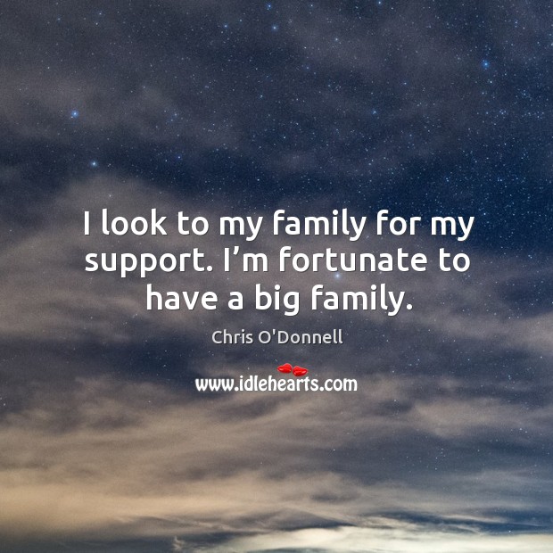I look to my family for my support. I’m fortunate to have a big family. Chris O’Donnell Picture Quote