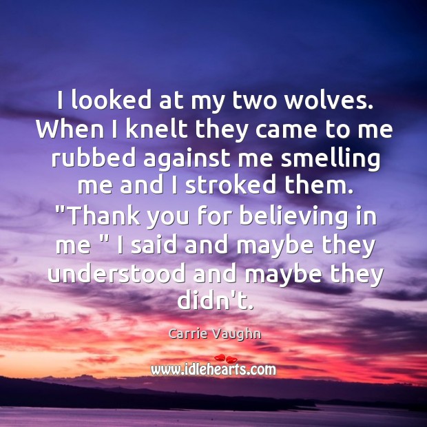 I looked at my two wolves. When I knelt they came to Image