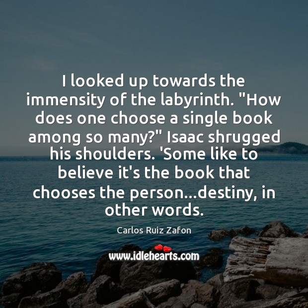 I looked up towards the immensity of the labyrinth. “How does one Carlos Ruiz Zafon Picture Quote