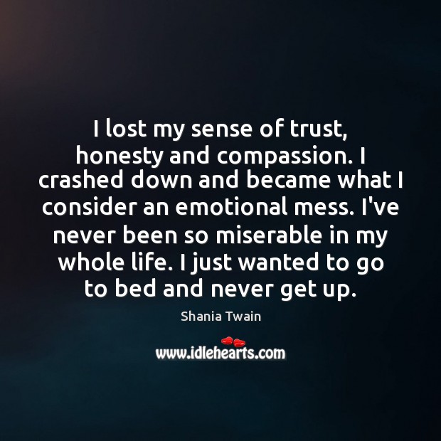 I lost my sense of trust, honesty and compassion. I crashed down Shania Twain Picture Quote