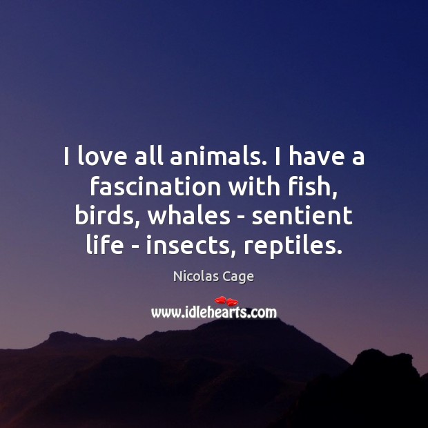 I love all animals. I have a fascination with fish, birds, whales Nicolas Cage Picture Quote