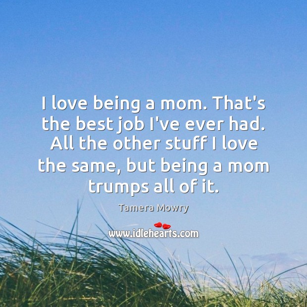 I love being a mom. That’s the best job I’ve ever had. Tamera Mowry Picture Quote