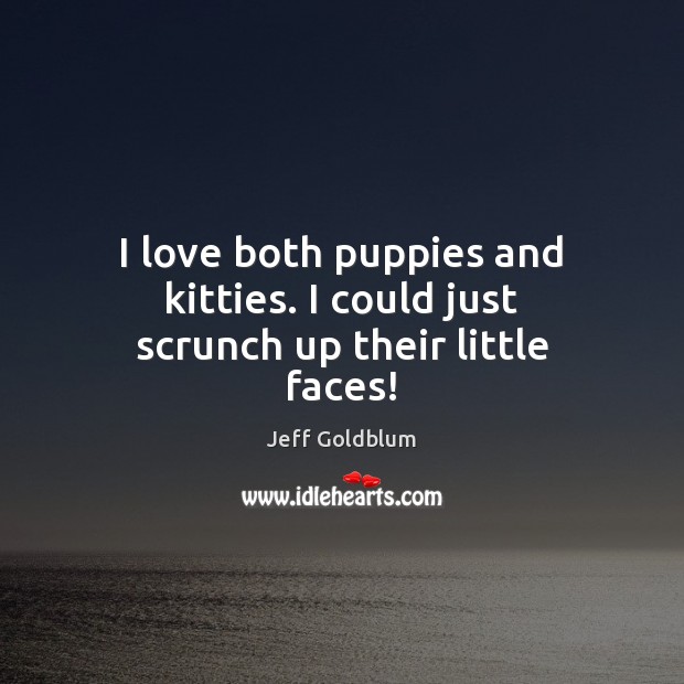 I love both puppies and kitties. I could just scrunch up their little faces! Jeff Goldblum Picture Quote