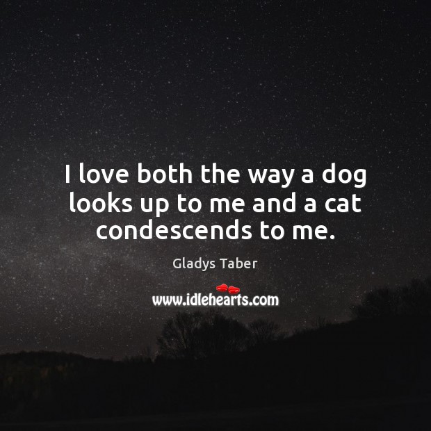 I love both the way a dog looks up to me and a cat condescends to me. Gladys Taber Picture Quote