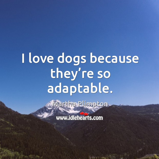 I love dogs because they’re so adaptable. Martha Plimpton Picture Quote