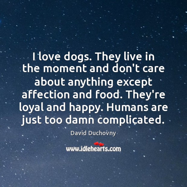 I love dogs. They live in the moment and don’t care about David Duchovny Picture Quote