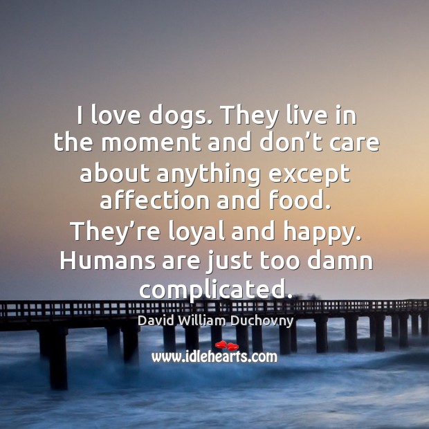 I love dogs. They live in the moment and don’t care about anything except affection and food. David William Duchovny Picture Quote