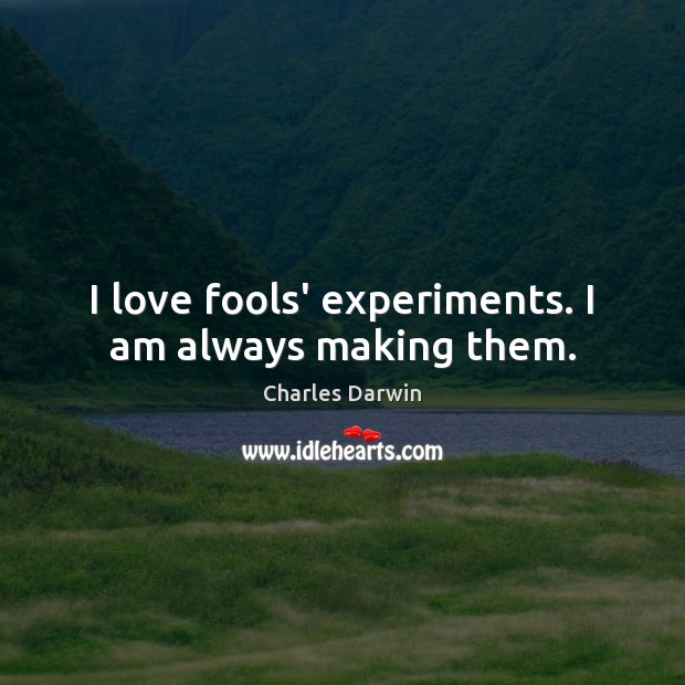I love fools’ experiments. I am always making them. Image