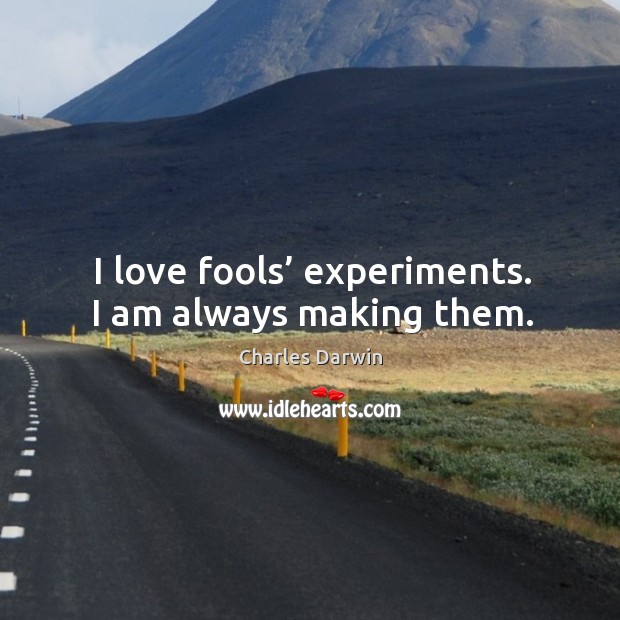 I love fools’ experiments. I am always making them. Image