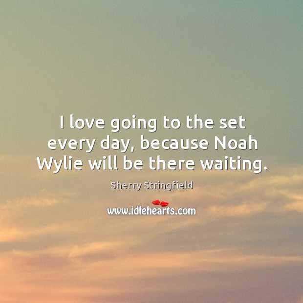I love going to the set every day, because noah wylie will be there waiting. Sherry Stringfield Picture Quote
