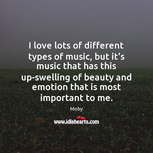 I love lots of different types of music, but it’s music that Moby Picture Quote
