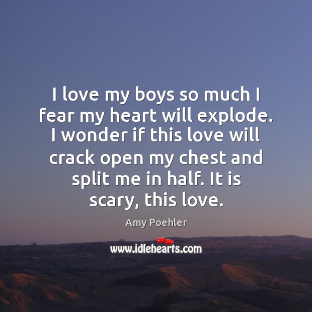 I love my boys so much I fear my heart will explode. Amy Poehler Picture Quote