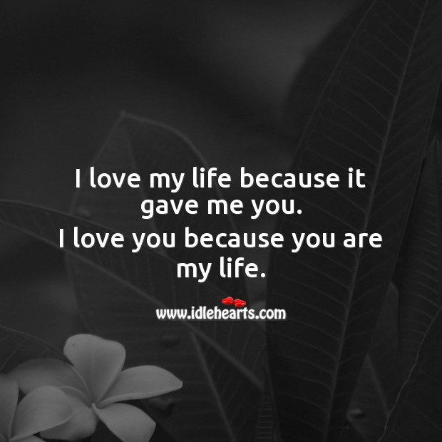 I love my life because it gave me you. I Love You Quotes Image