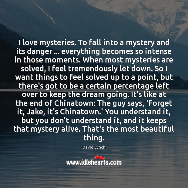 I love mysteries. To fall into a mystery and its danger … everything David Lynch Picture Quote