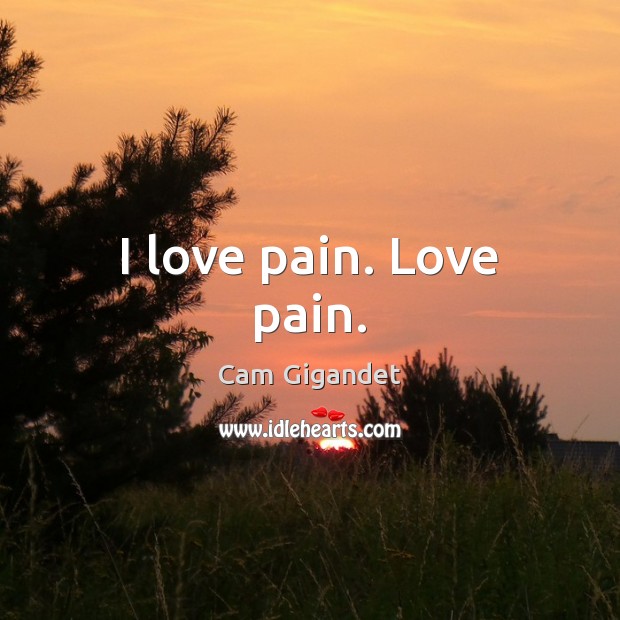I love pain. Love pain. Cam Gigandet Picture Quote