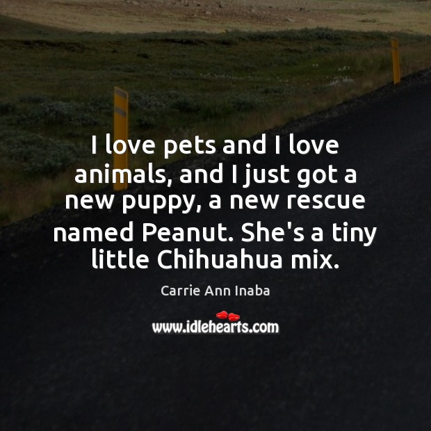 I love pets and I love animals, and I just got a Carrie Ann Inaba Picture Quote
