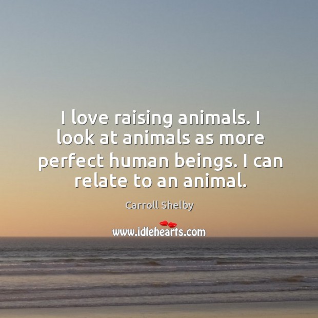 I love raising animals. I look at animals as more perfect human Carroll Shelby Picture Quote