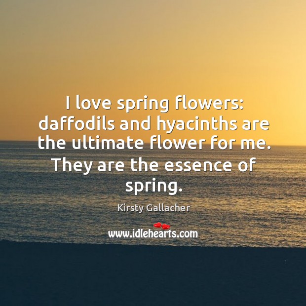 I love spring flowers: daffodils and hyacinths are the ultimate flower for me. Kirsty Gallacher Picture Quote