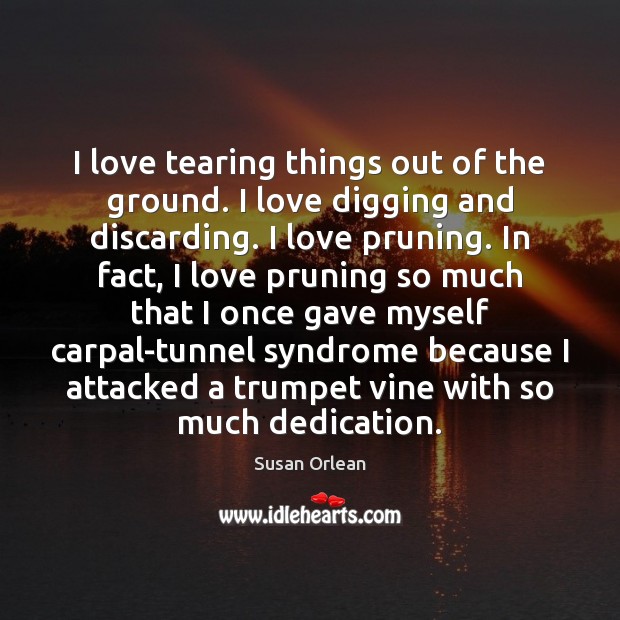 I love tearing things out of the ground. I love digging and Susan Orlean Picture Quote