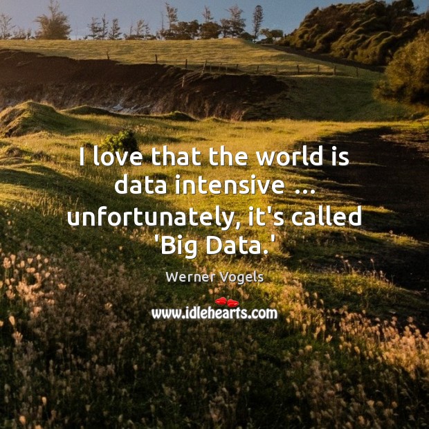 I love that the world is data intensive … unfortunately, it’s called ‘Big Data.’ Image
