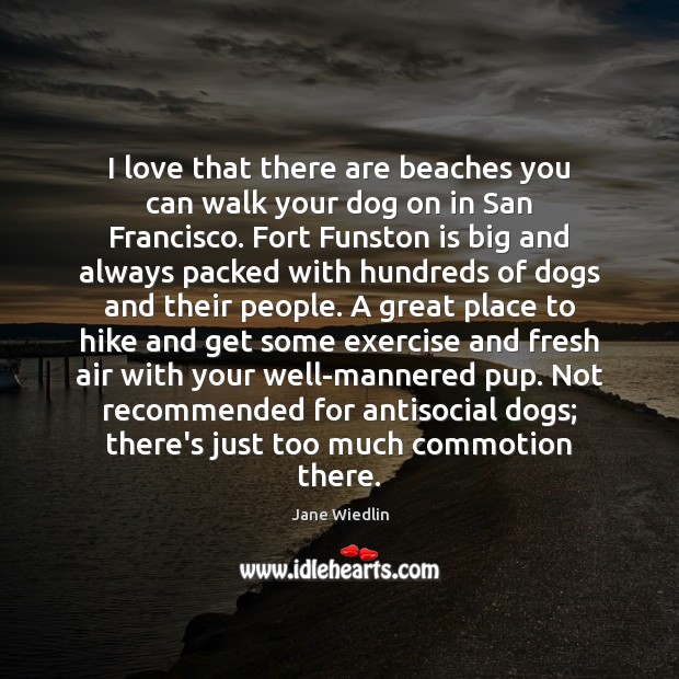 I love that there are beaches you can walk your dog on Jane Wiedlin Picture Quote