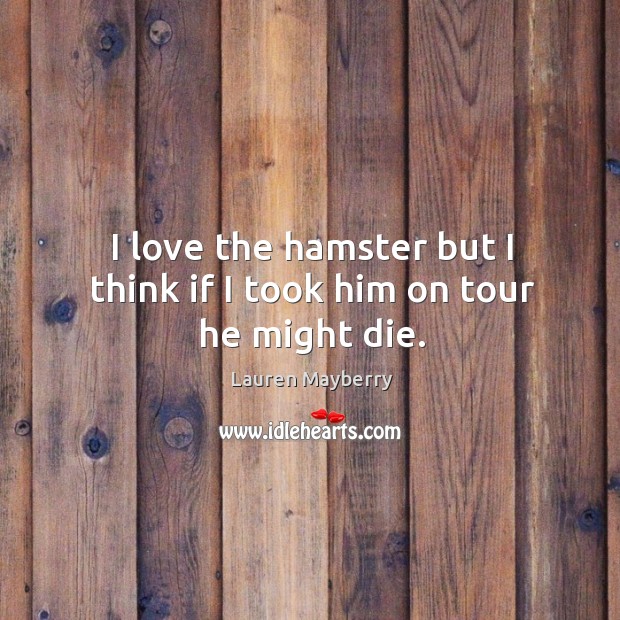 I love the hamster but I think if I took him on tour he might die. Image