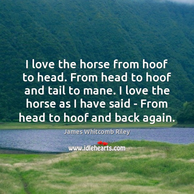 I love the horse from hoof to head. From head to hoof Image