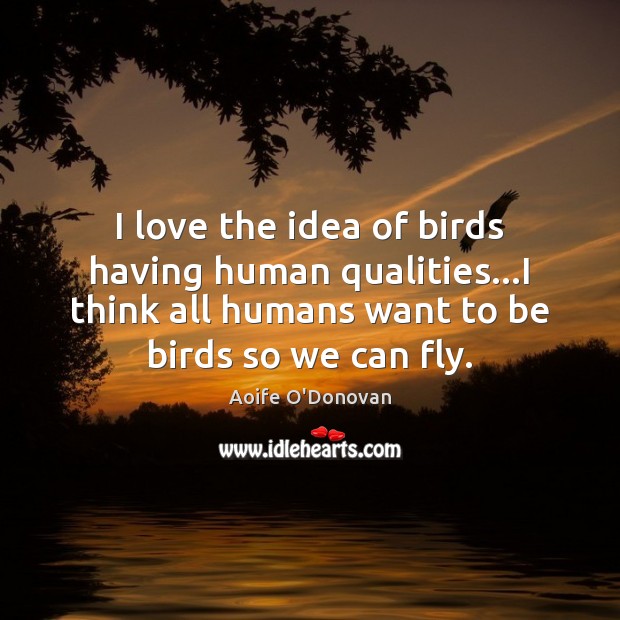 I love the idea of birds having human qualities…I think all Aoife O’Donovan Picture Quote