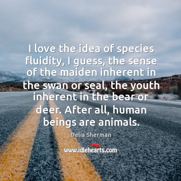 I love the idea of species fluidity, I guess, the sense of Delia Sherman Picture Quote
