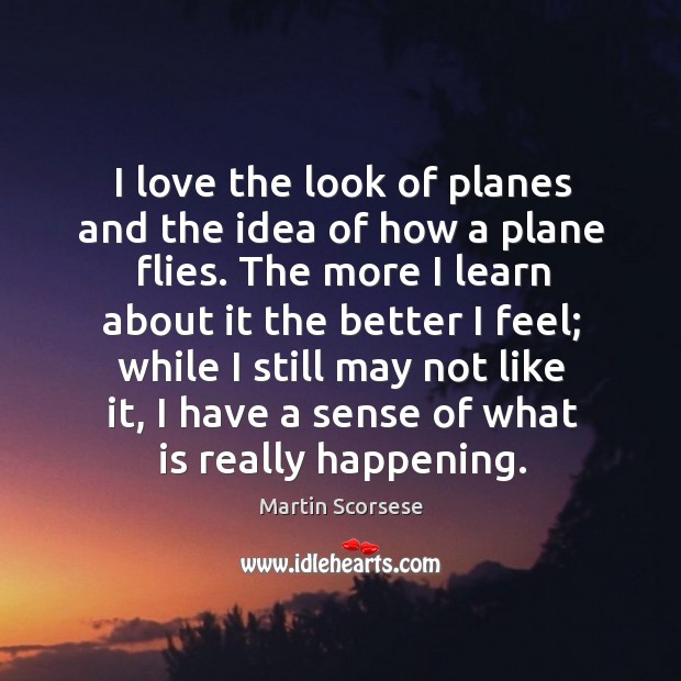 I love the look of planes and the idea of how a plane flies. Martin Scorsese Picture Quote
