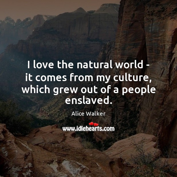 I love the natural world – it comes from my culture, which grew out of a people enslaved. Alice Walker Picture Quote