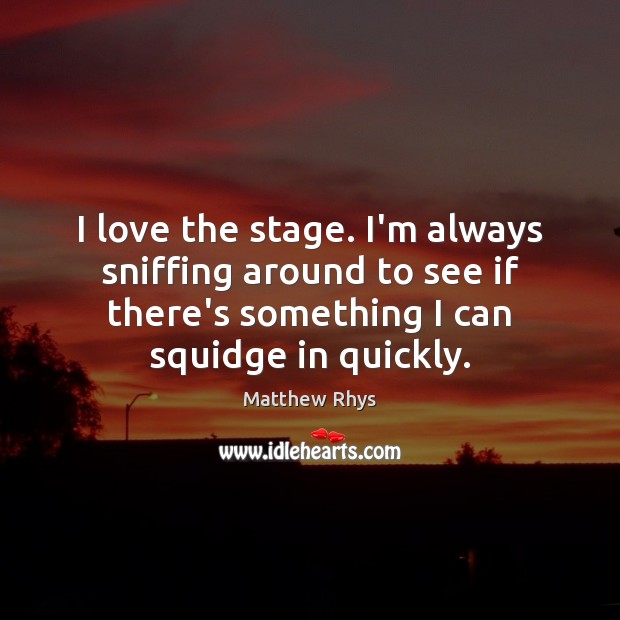 I love the stage. I’m always sniffing around to see if there’s Matthew Rhys Picture Quote