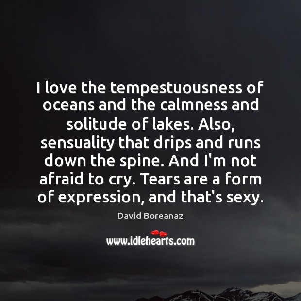 I love the tempestuousness of oceans and the calmness and solitude of David Boreanaz Picture Quote