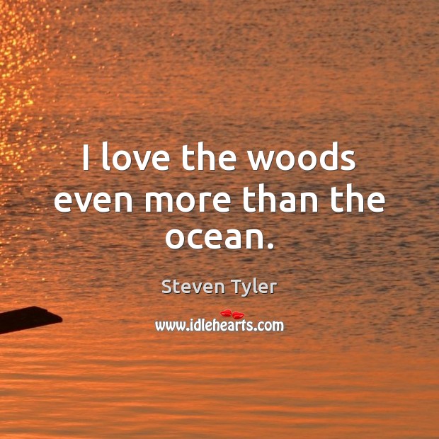 I love the woods even more than the ocean. Image