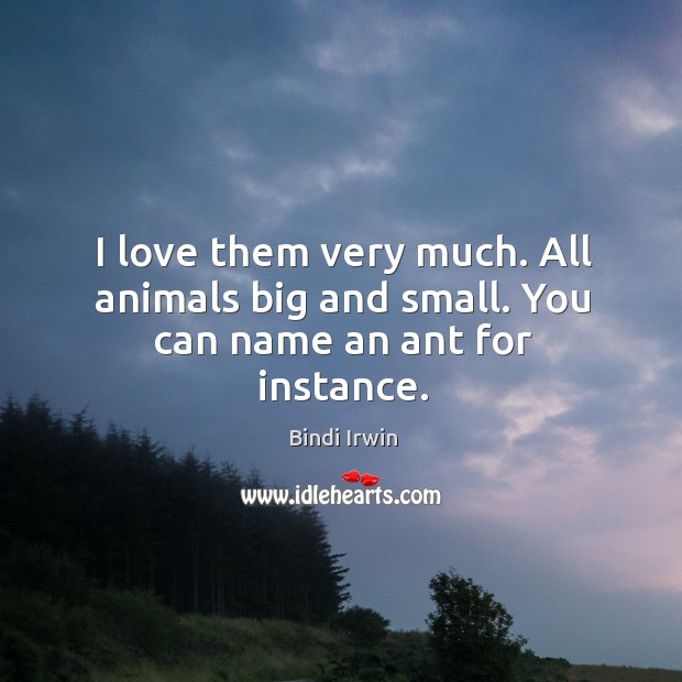 I love them very much. All animals big and small. You can name an ant for instance. Bindi Irwin Picture Quote